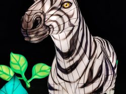 Světelná zoo v Praze