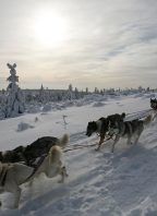 Šediváčkův long 2025 – XXVII. ročník