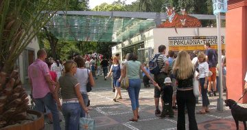 Vstup do ZOO na Den dětí zdarma nebo za korunu? Tipy na nejlepší ZOO akce víkendu