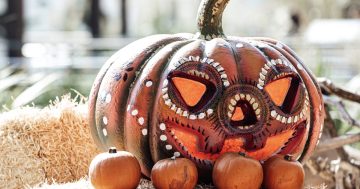 Halloween je americký svátek: Pravda, či lež? Jak to bylo?