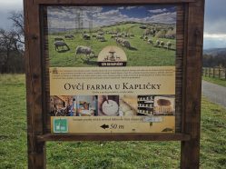 Ovčí farma U Kapličky