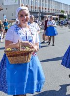 Velkopavlovické vinobraní