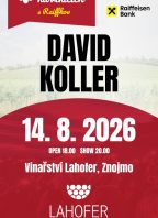 David Koller (Hudba na vinicích)