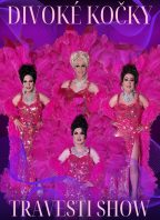 Travesti show Divoké kočky v Píšti
