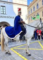 Svatomartinský košt vín v Třeboni