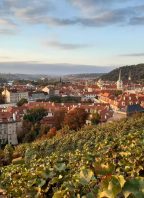 Vinobraní Villa Richter
