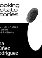 Ana Núñez Rodríguez | Cooking Potato Stories