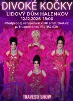 Travesti show Divoké kočky v Halenkově