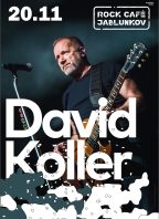David Koller