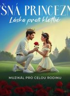 Pyšná princezna