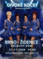 Travesti show Divoké kočky v Brně-Židenicích