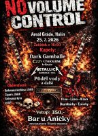 No Volume Control