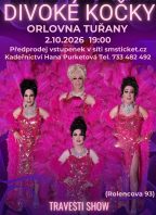 Travesti Divoké kočky v Brně-Tuřanech