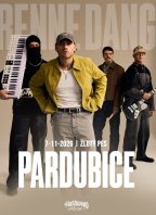 Renne Dang: trauma party