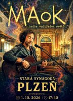 MAOK – Plzeň – Stará synagoga – 1