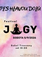 Teplický festival jógy – Pes hlavou dolů