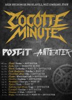 COCOTTE MINUTE