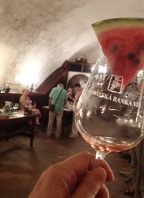 Řízená degustace vín – rosé vína