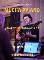 Muzika na Sokecu: MUCHA PYJANO