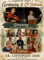 CF Sistrum a Groovey – Simon & Garfunkel revival