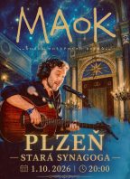 MAOK – Plzeň – Stará synagoga – 2