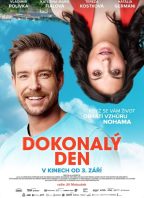 Dokonalý den  (ČR)  2D
