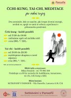 TAI-CHI 37 forem Yang – profesora Cheng Man Ching